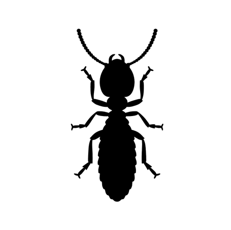 Subterranean Termites
