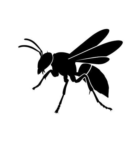 Stinging Insects
