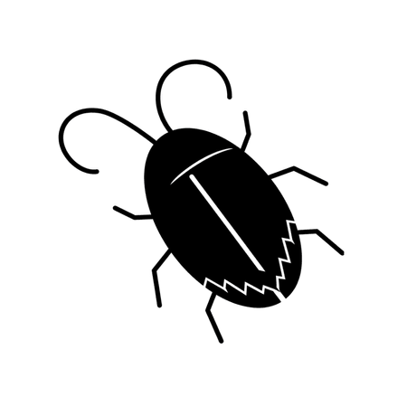 Pantry Pests
